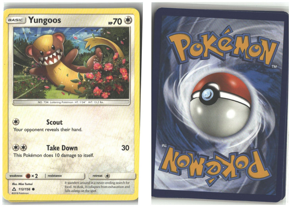 Front + Back scan
