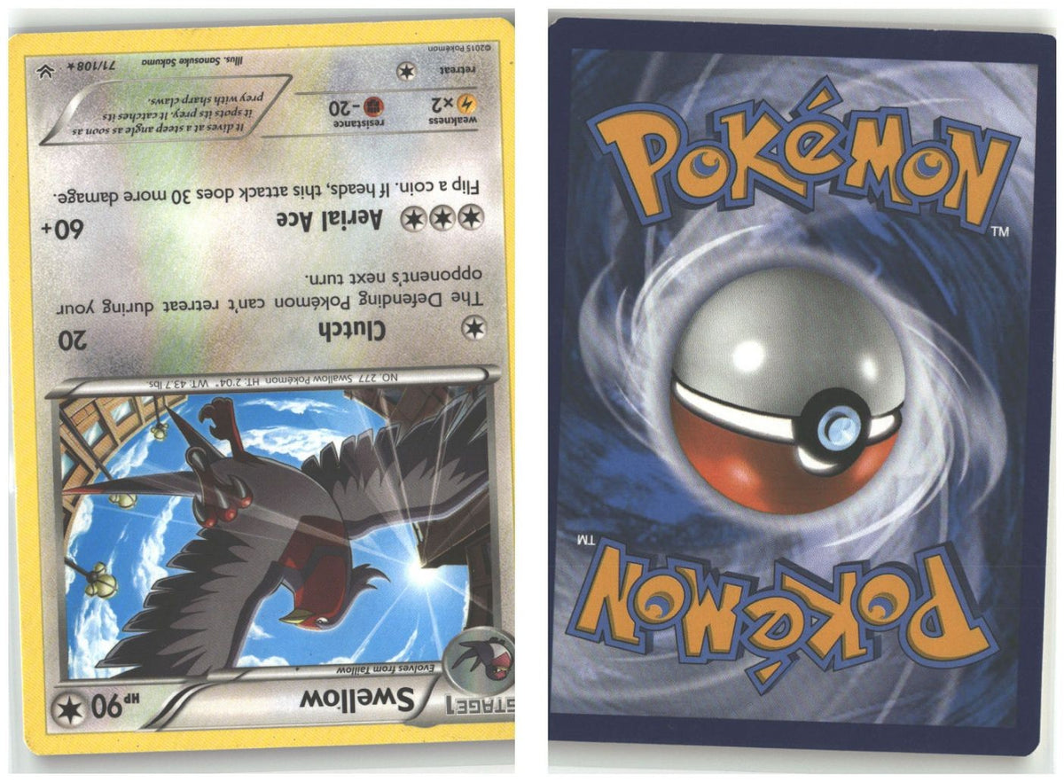 Front + Back scan