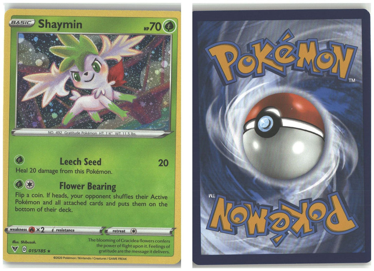 Front + Back scan