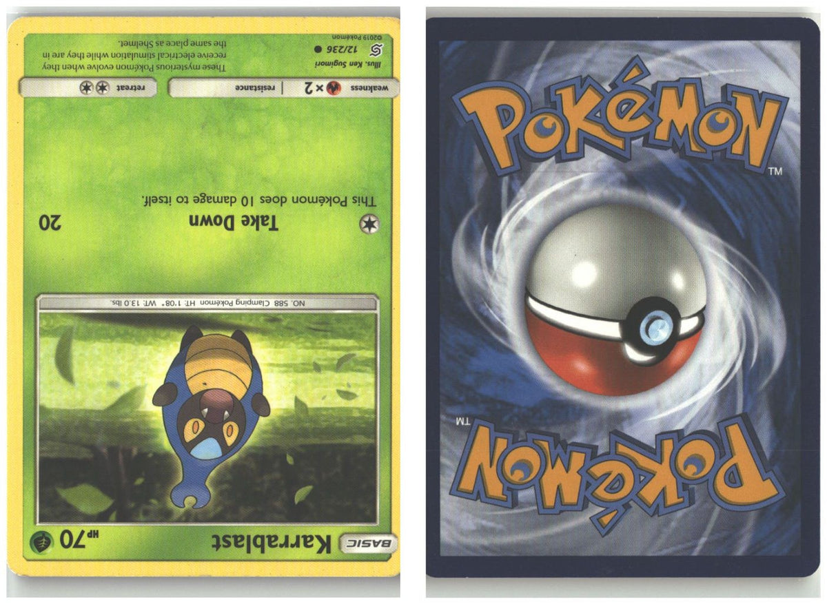 Front + Back scan