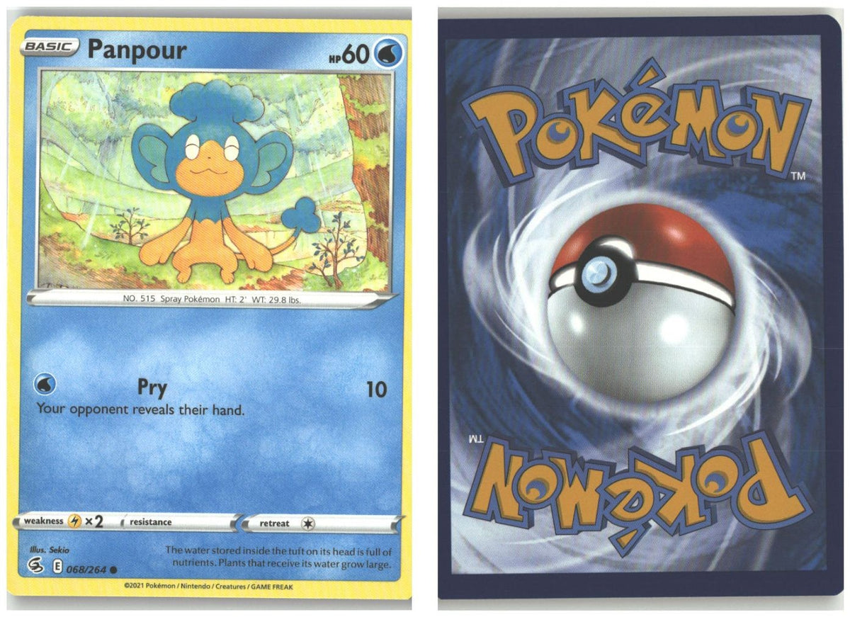 Front + Back scan