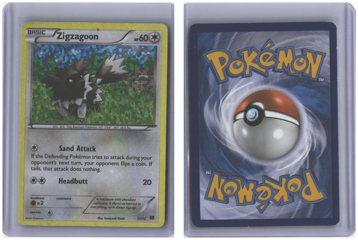 Front + Back scan