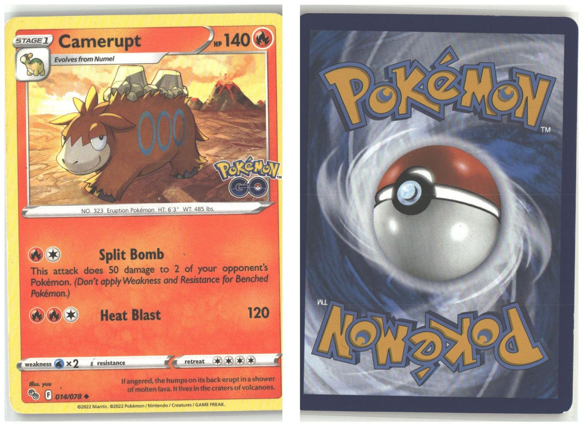 Front + Back scan