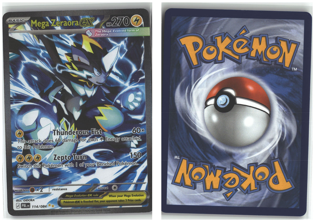 Front + Back scan