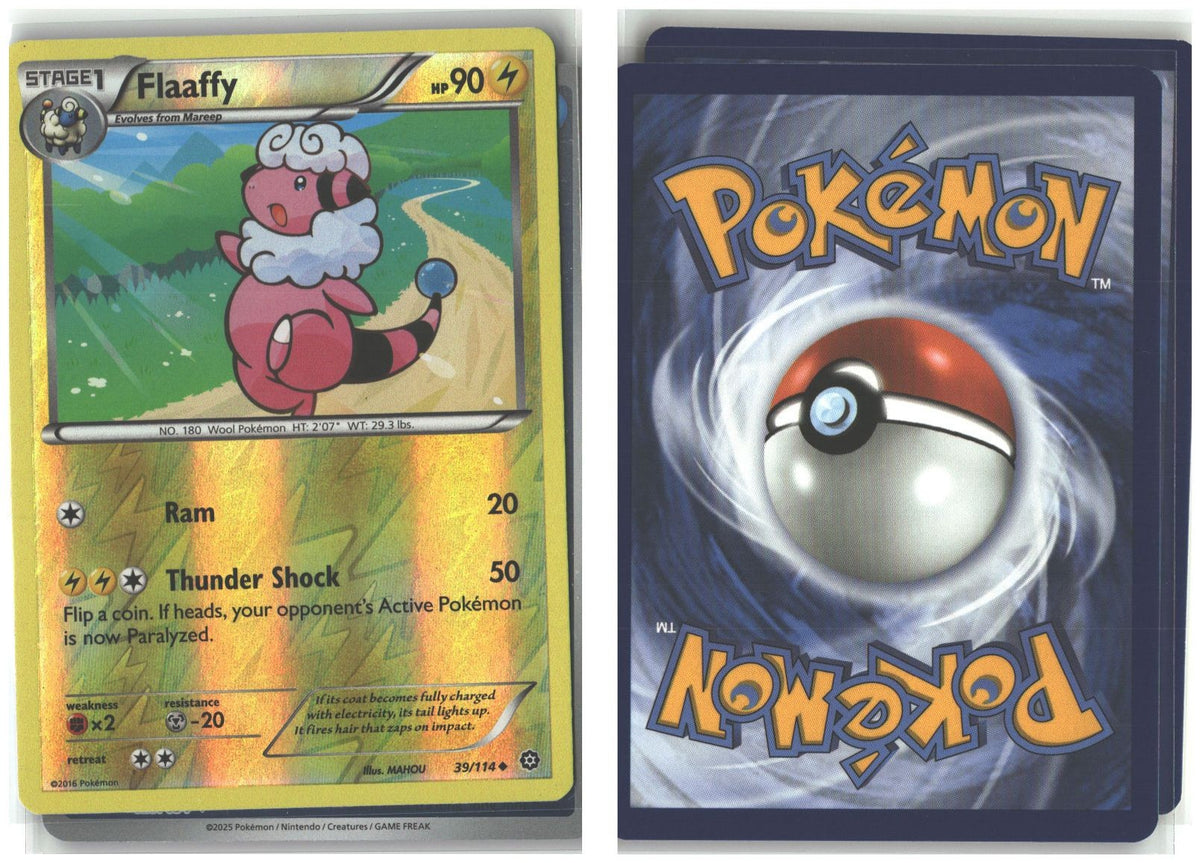 Front + Back scan