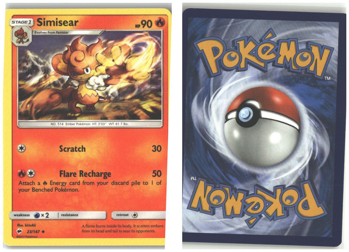 Front + Back scan