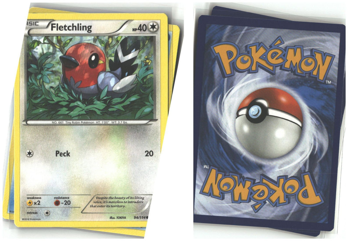 Front + Back scan