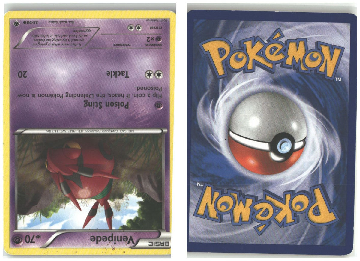 Front + Back scan