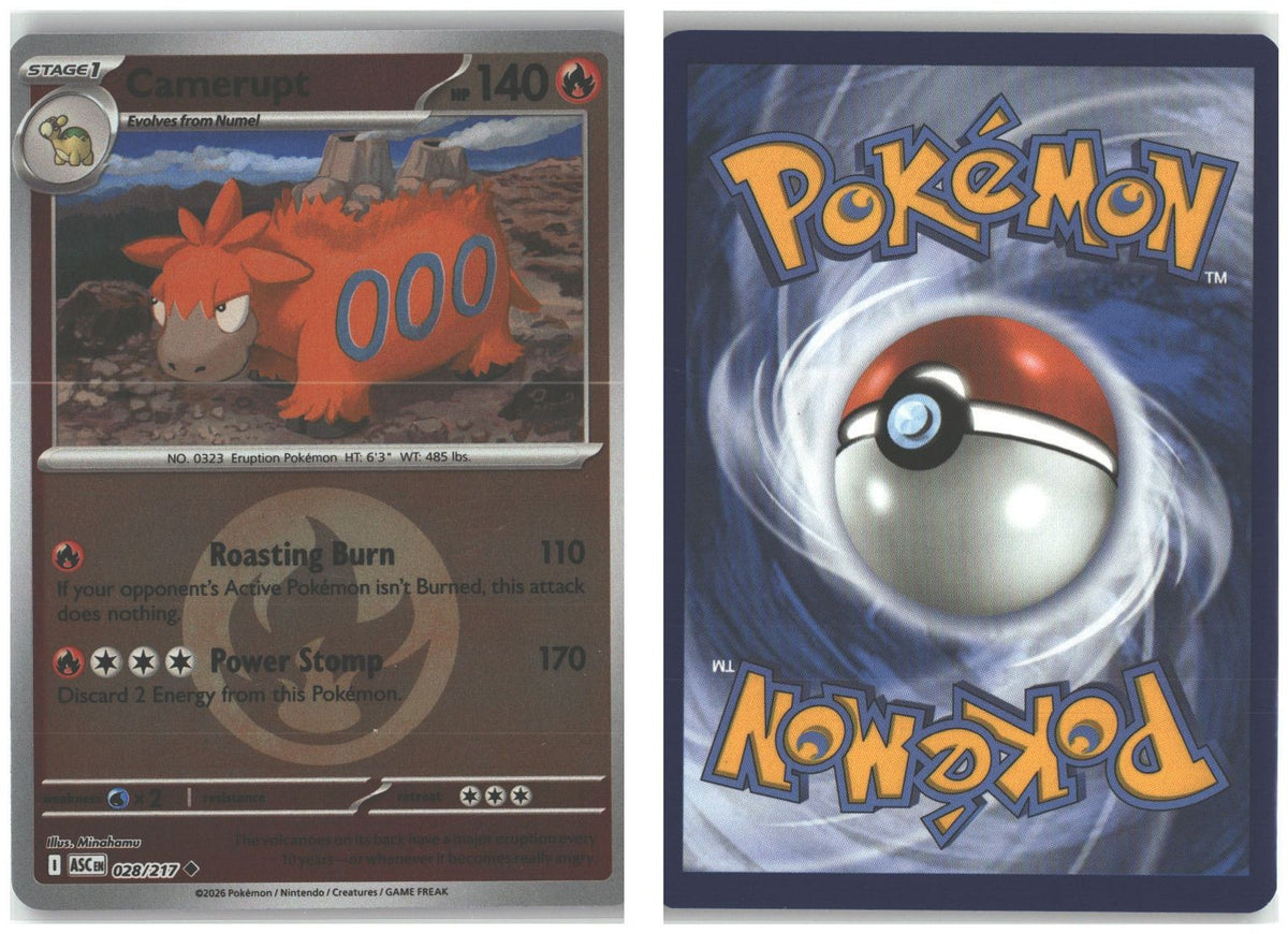 Front + Back scan