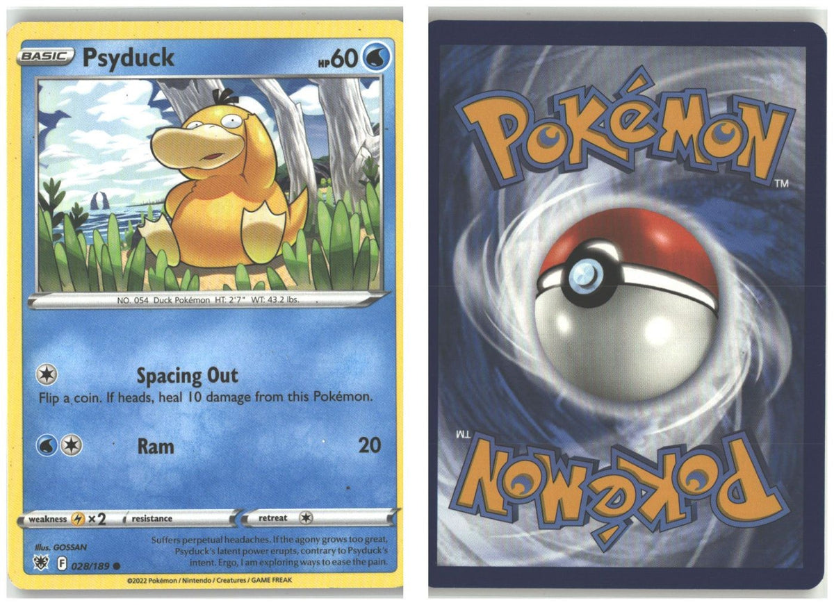 Front + Back scan