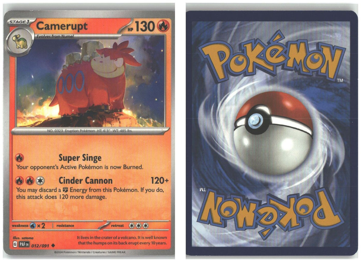 Front + Back scan