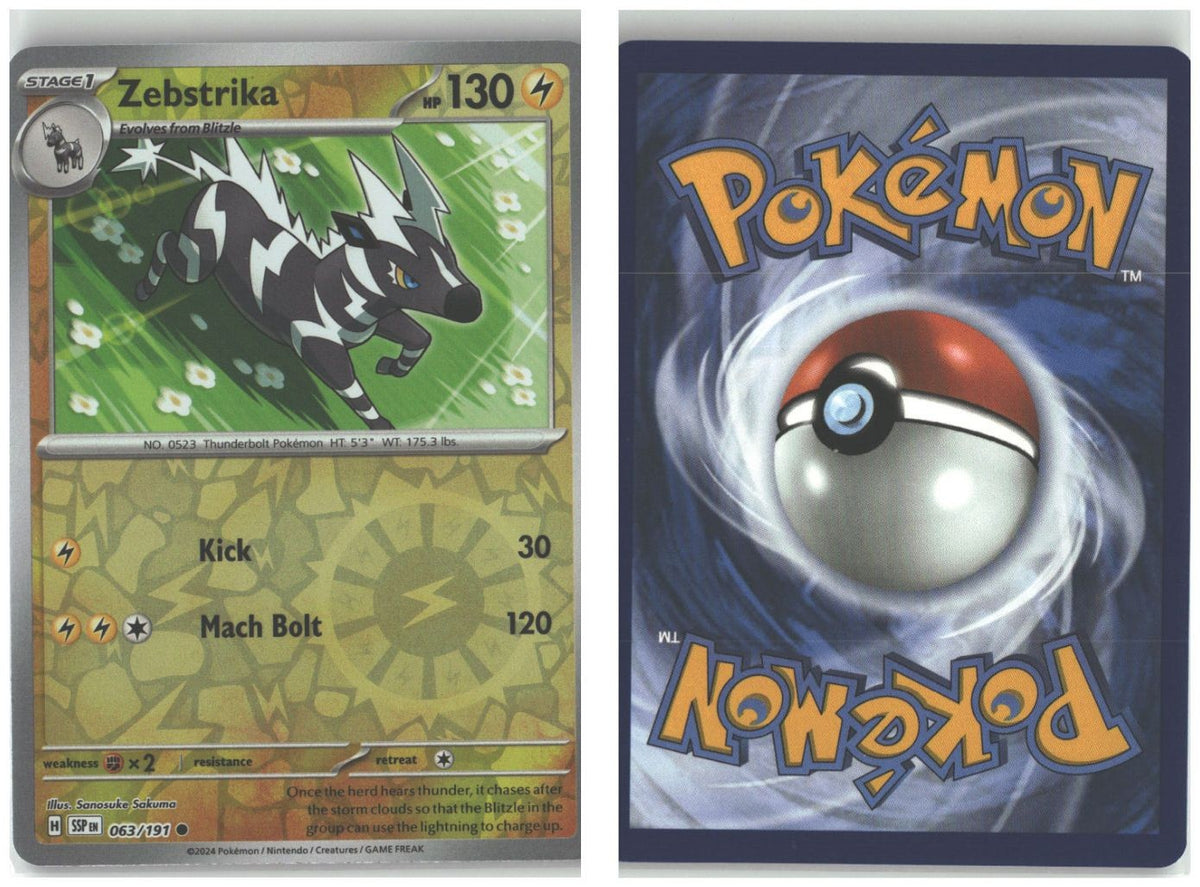 Front + Back scan