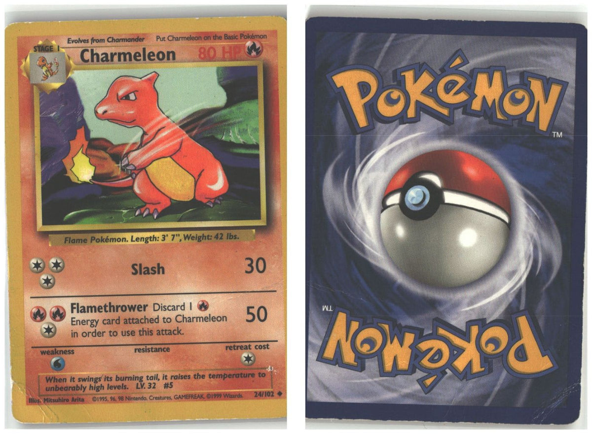 Front + Back scan