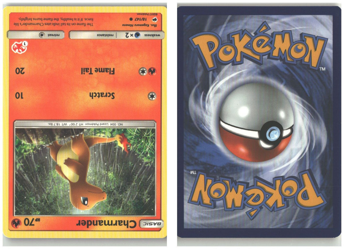 Front + Back scan