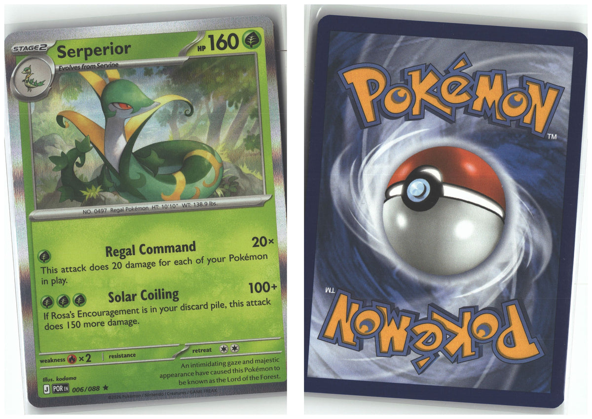 Front + Back scan