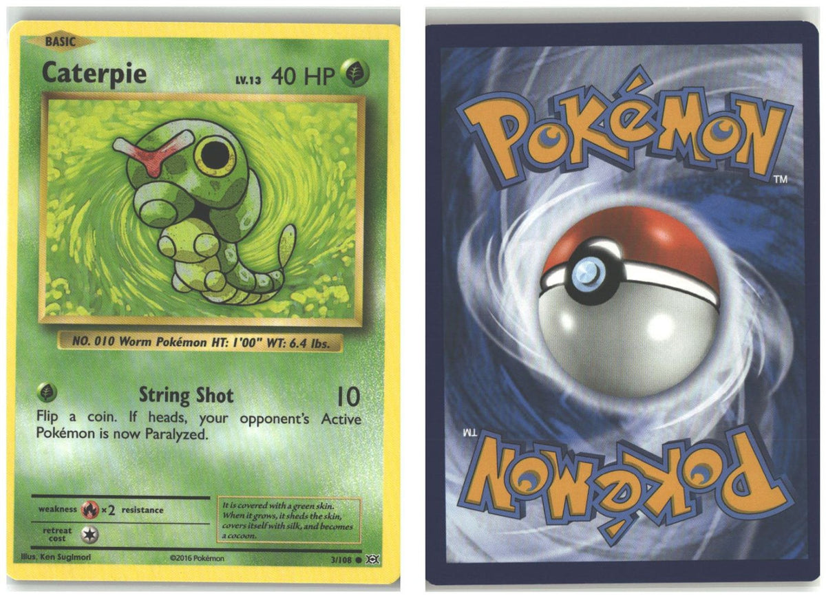 Front + Back scan
