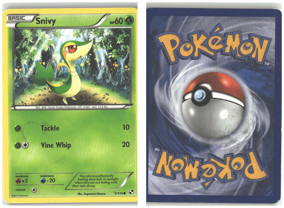 Front + Back scan