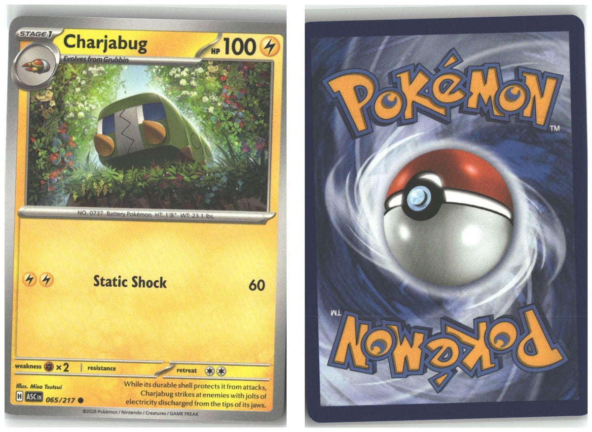 Front + Back scan