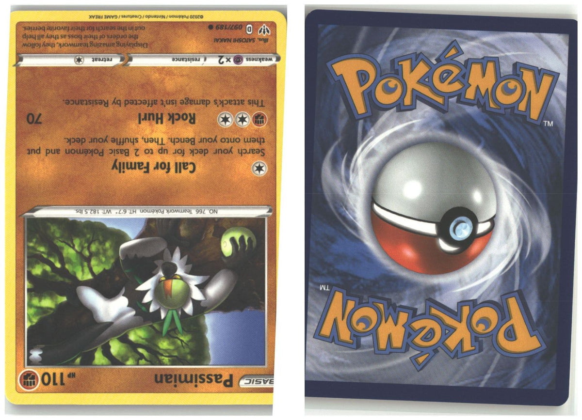 Front + Back scan