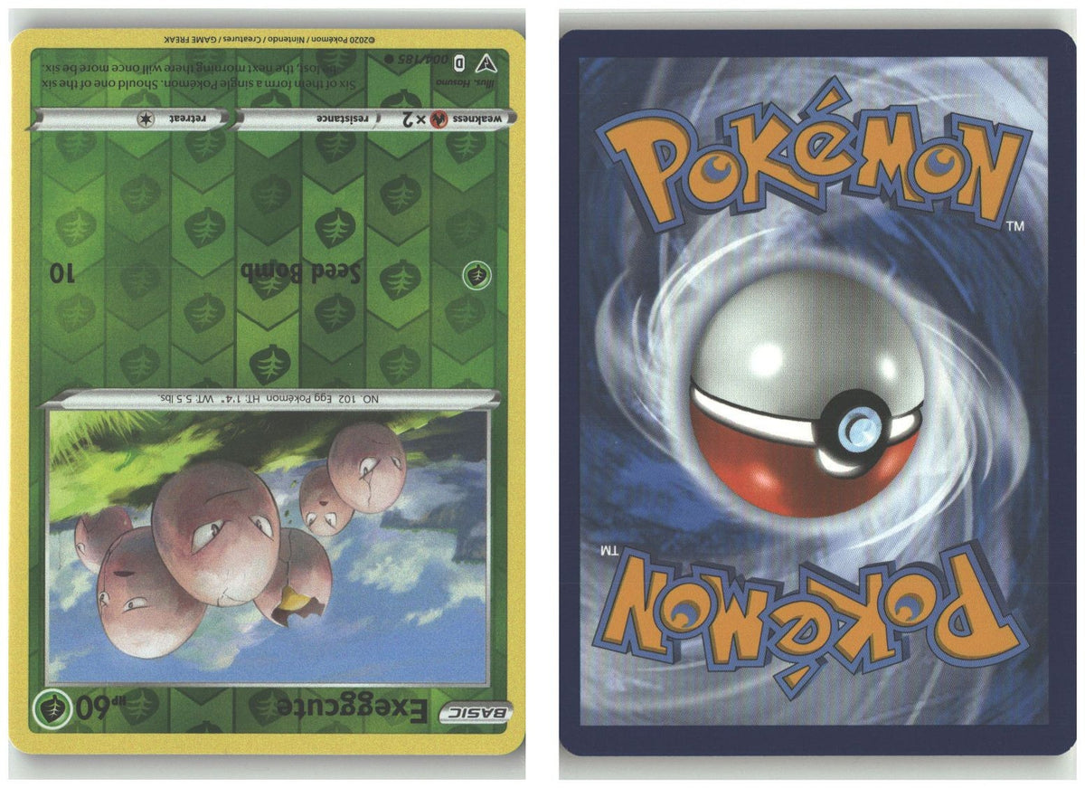 Front + Back scan