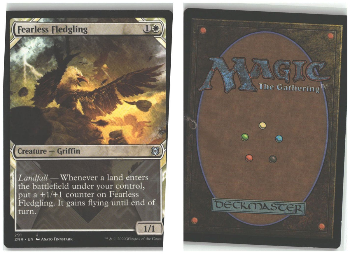 Front + Back scan