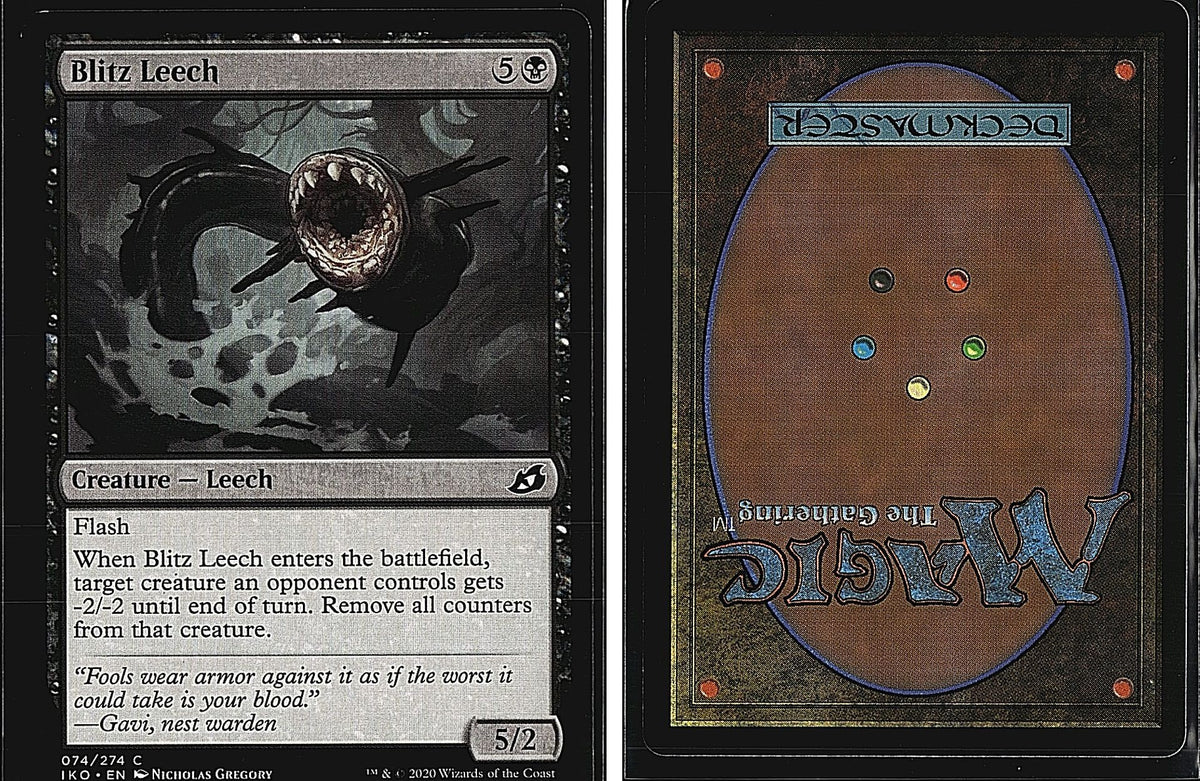Front + Back scan