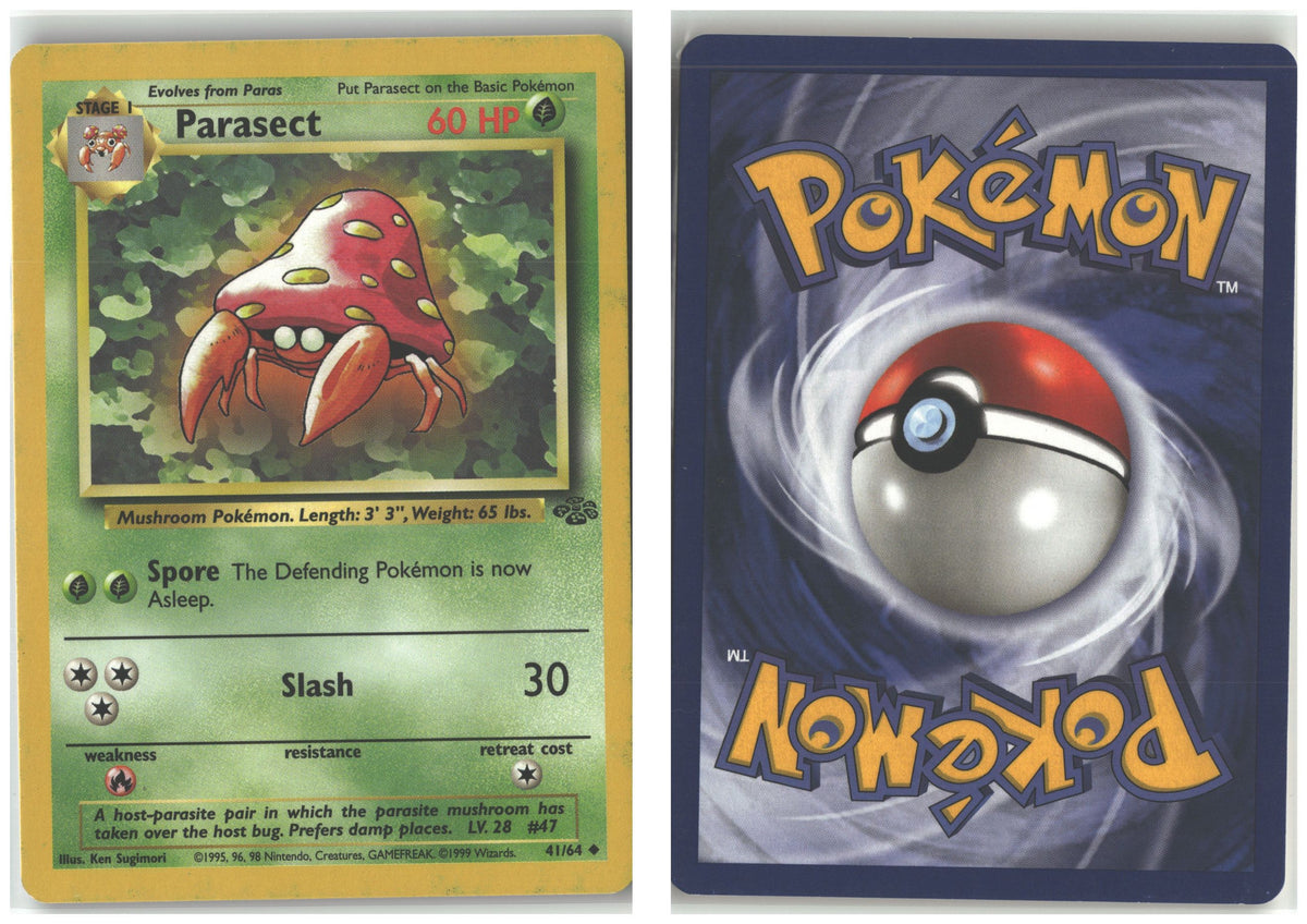 Front + Back scan