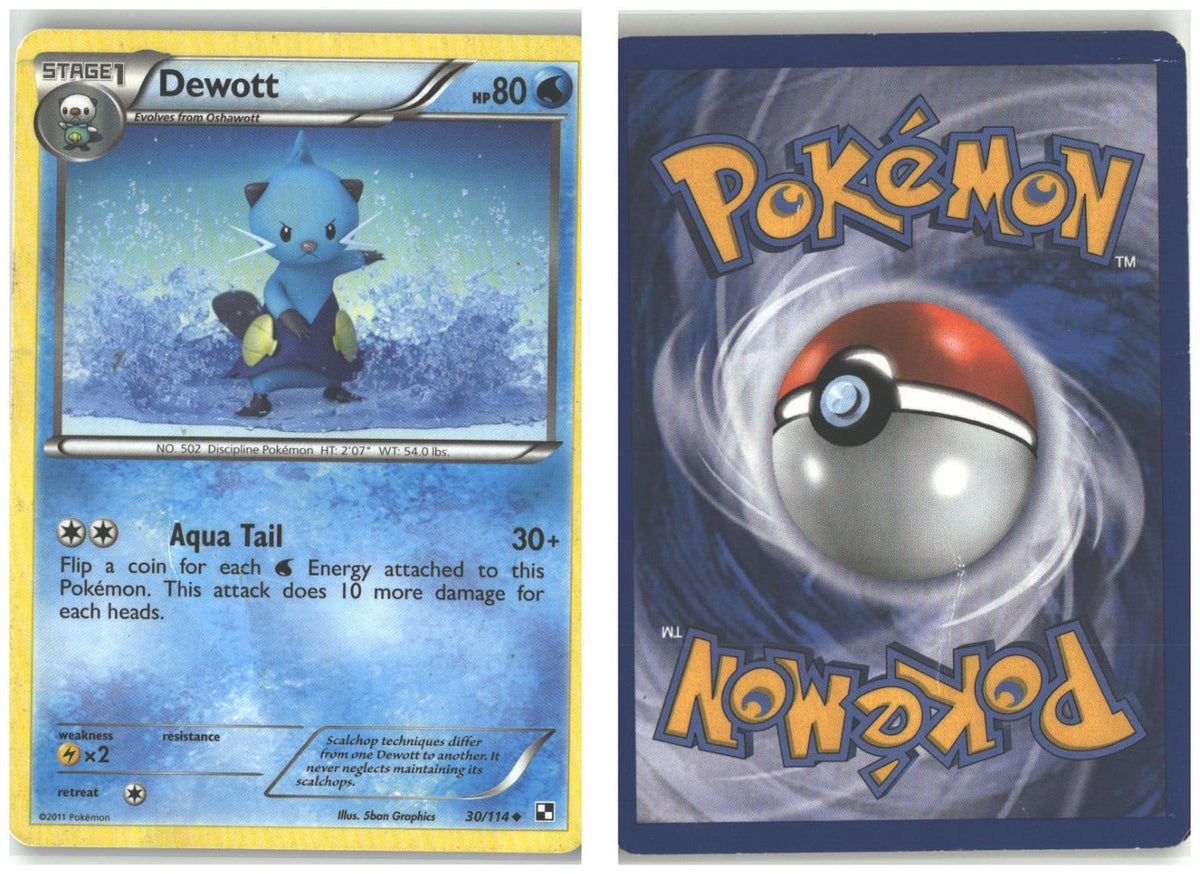 Front + Back scan