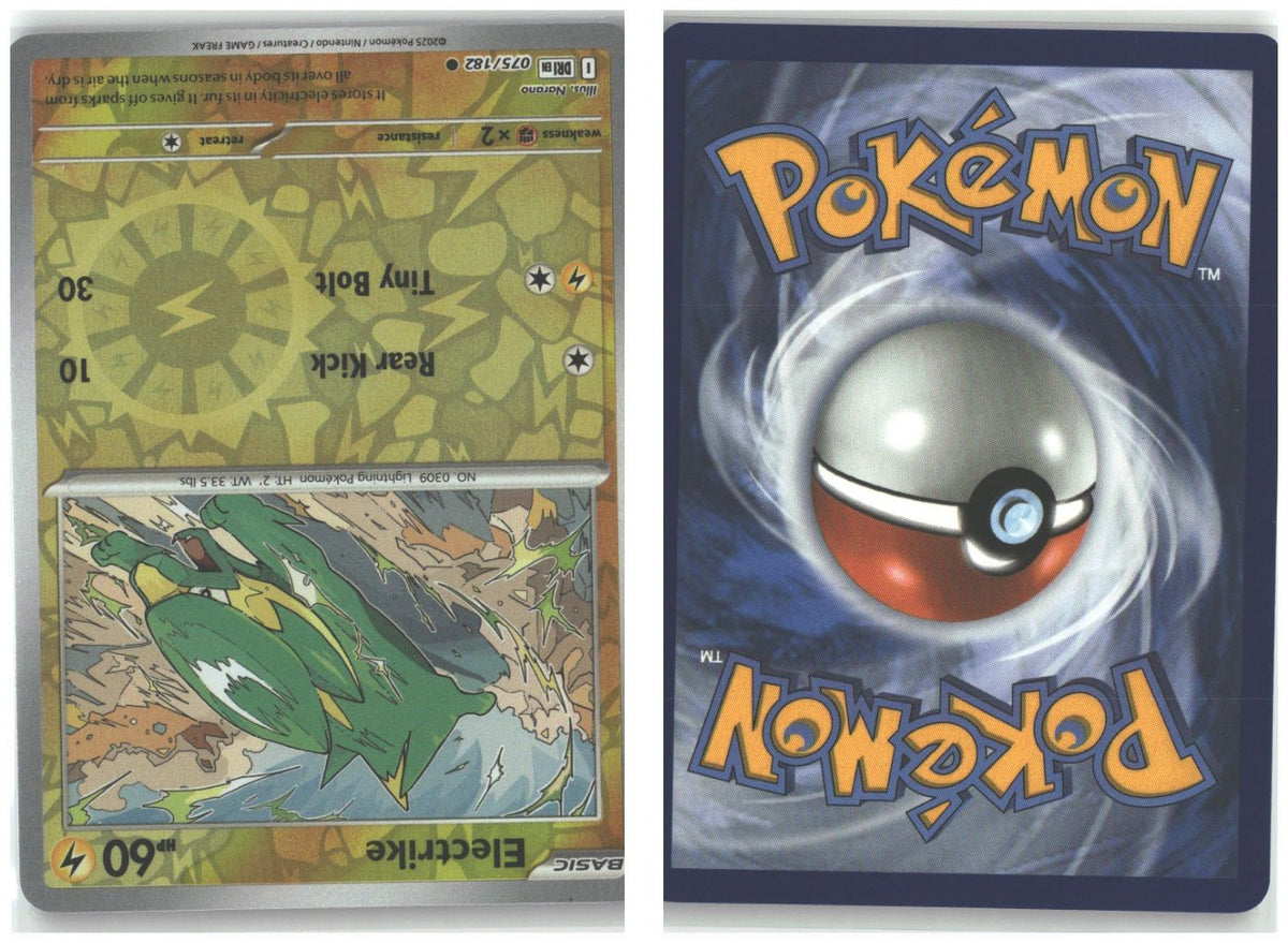 Front + Back scan