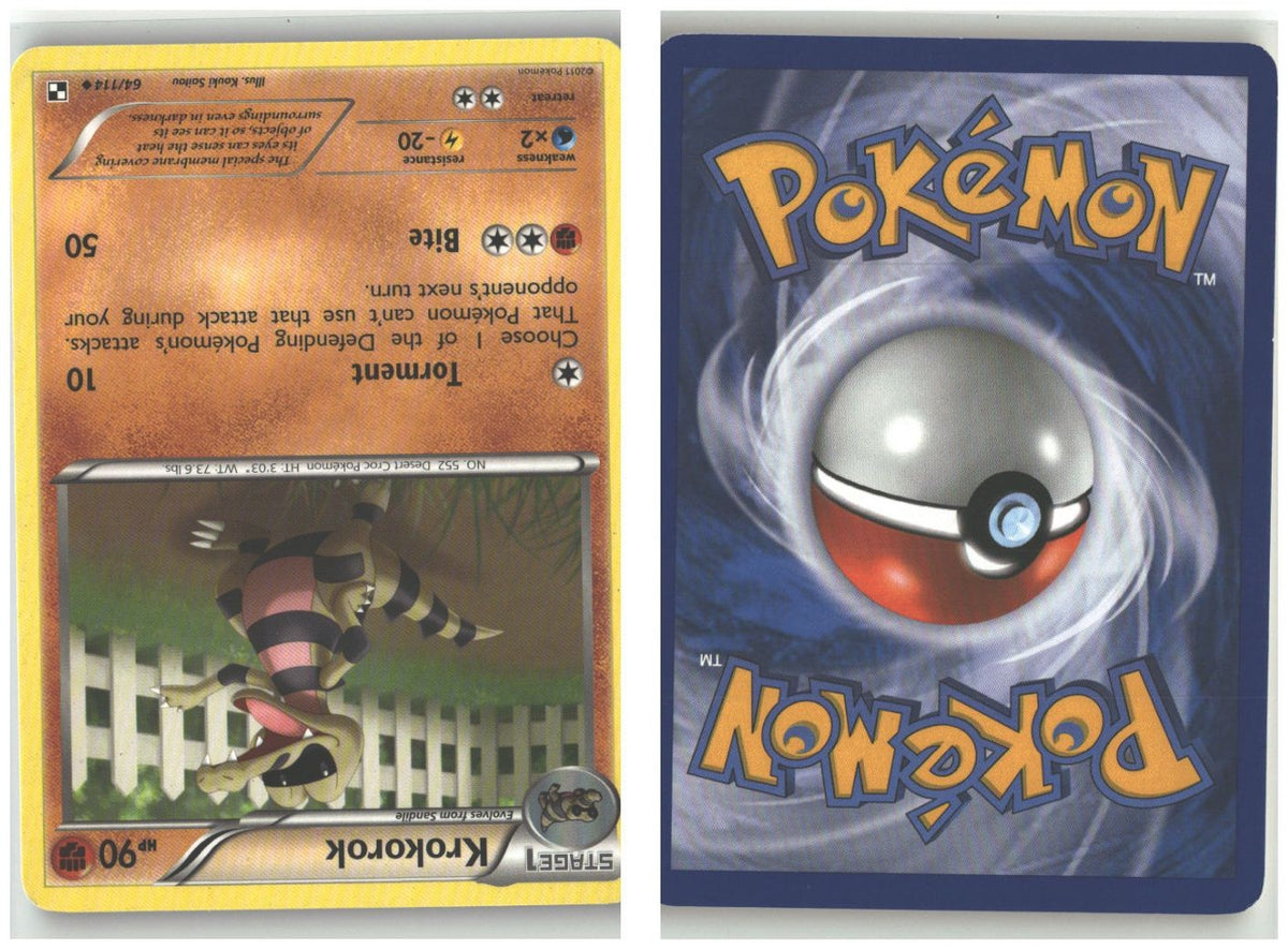 Front + Back scan