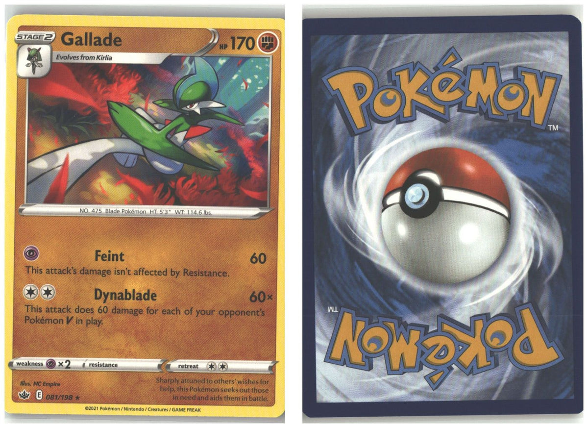 Front + Back scan