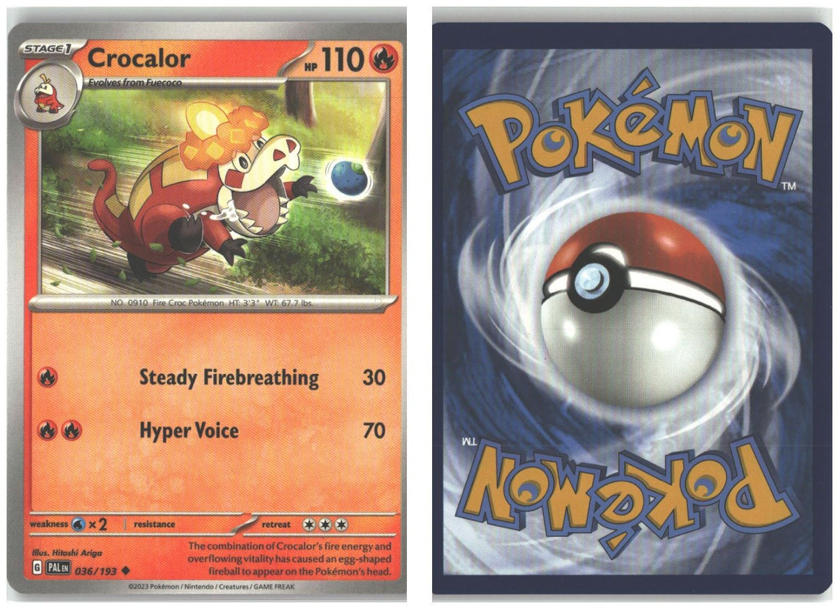 Front + Back scan