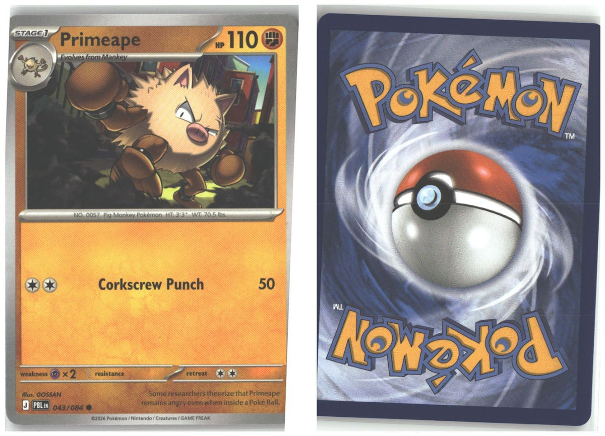 Front + Back scan