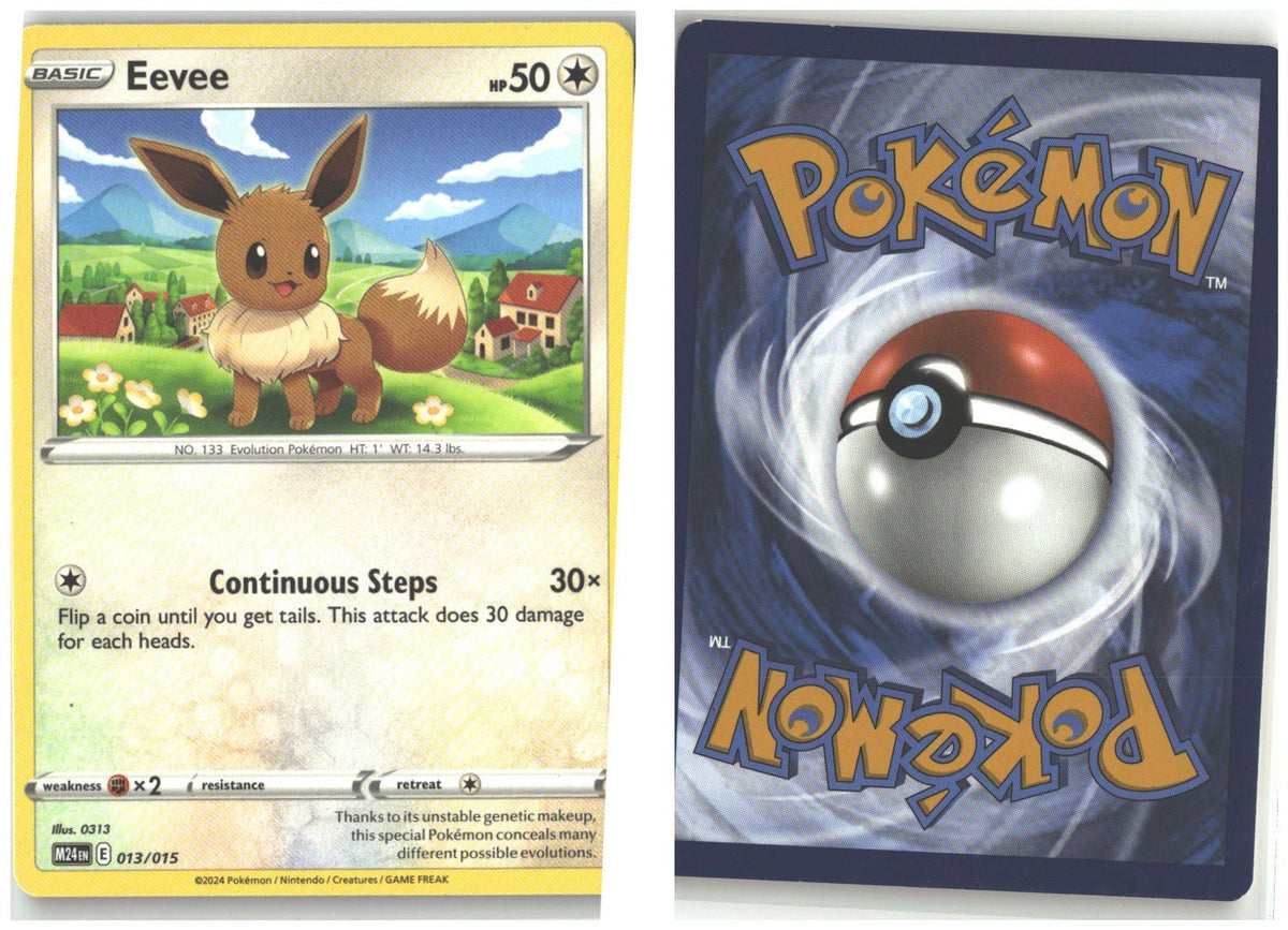 Front + Back scan