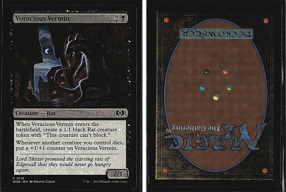 Front + Back scan