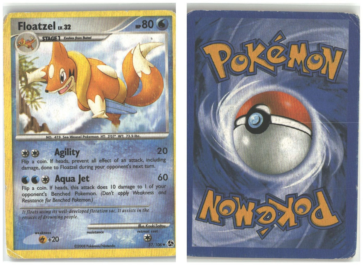 Front + Back scan