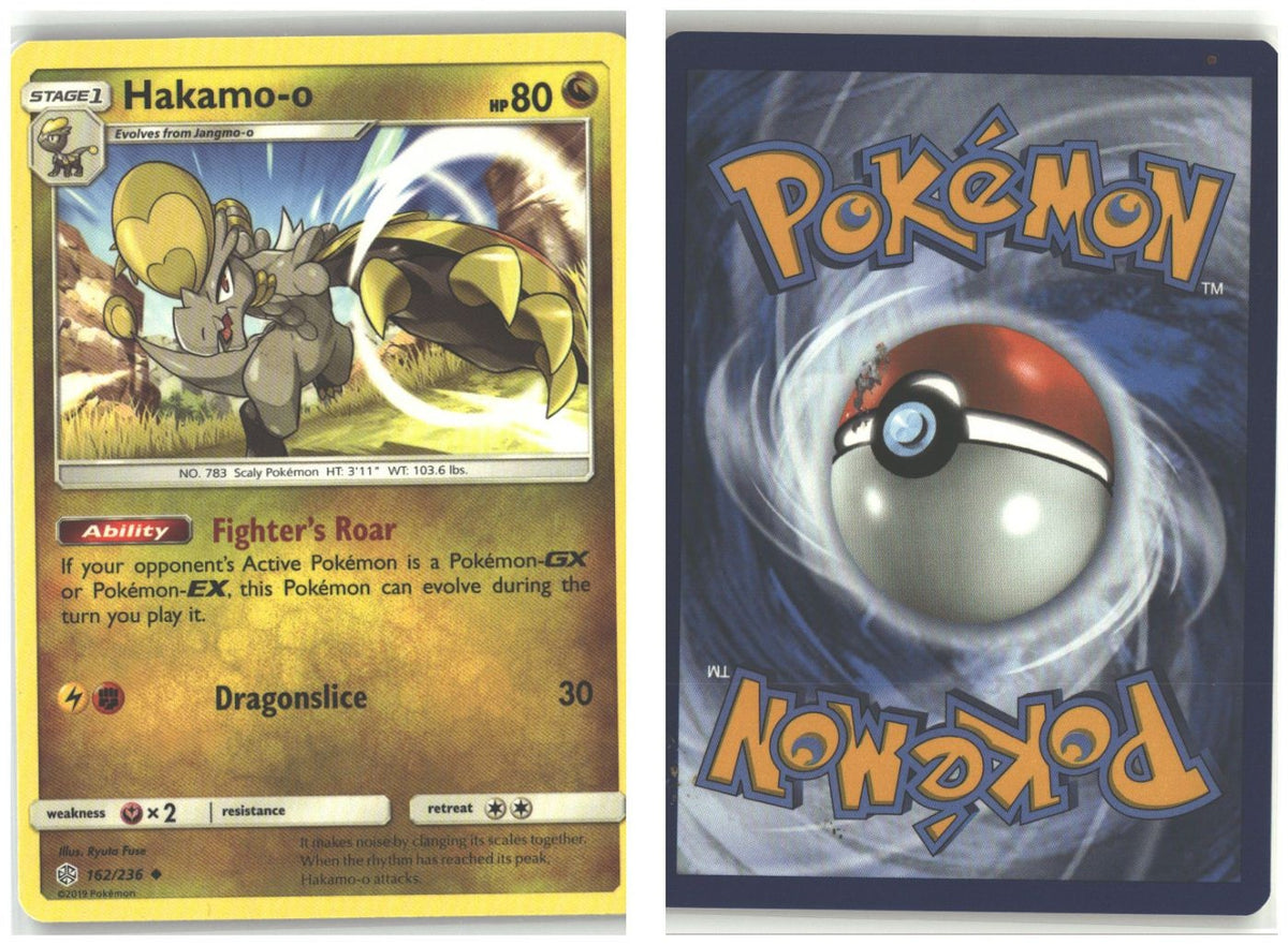 Front + Back scan