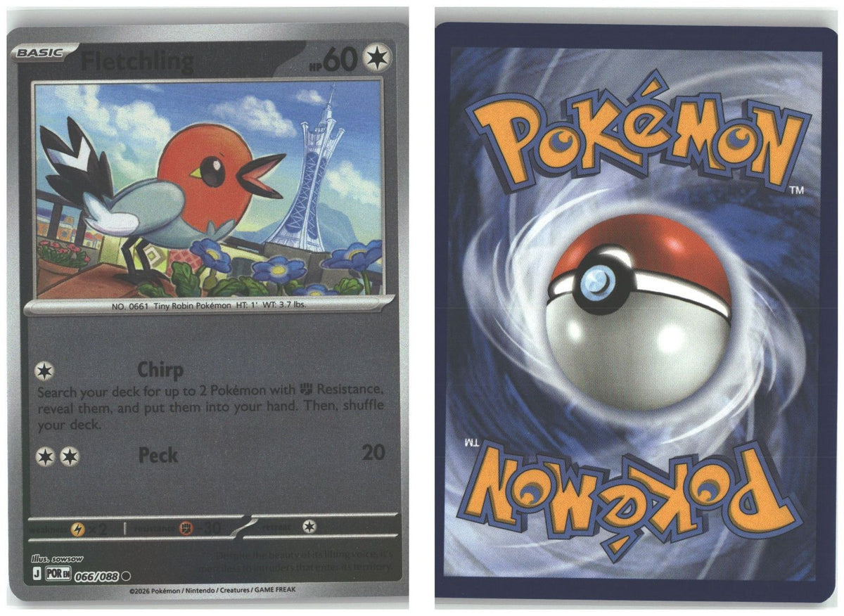 Front + Back scan