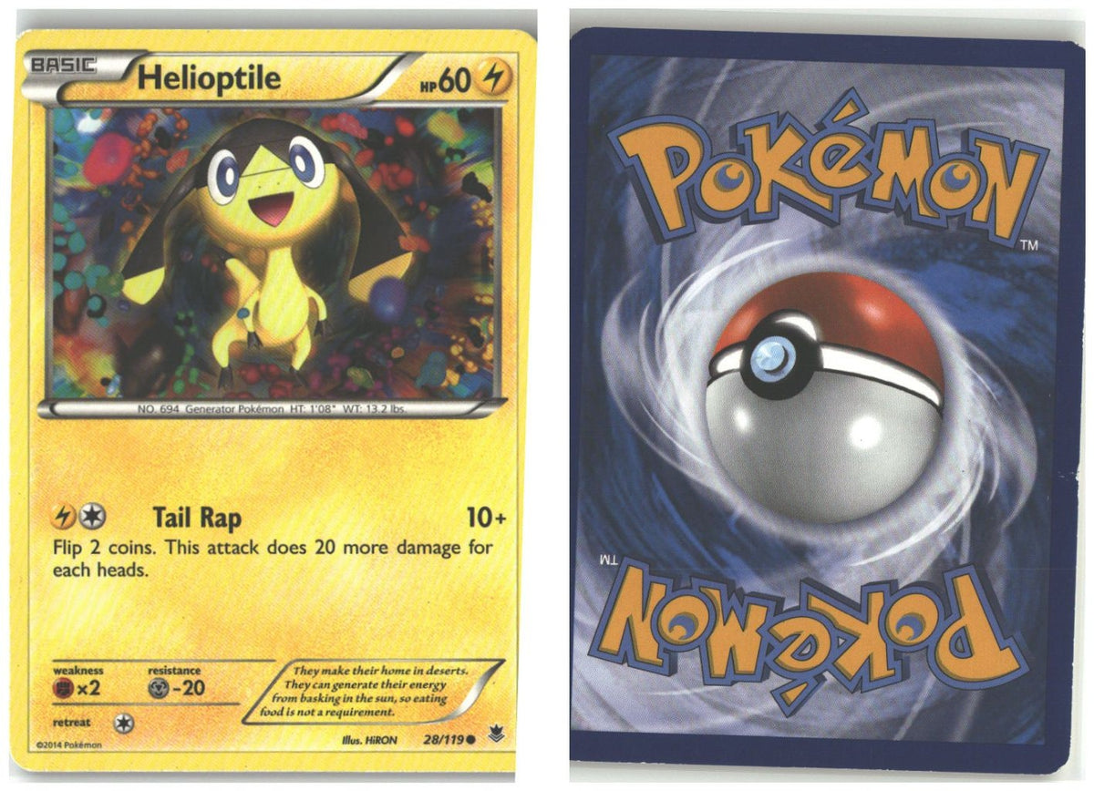 Front + Back scan