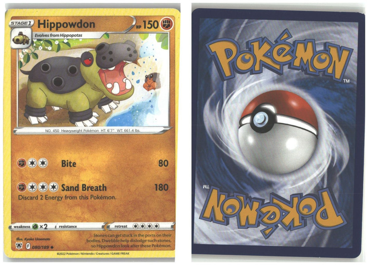Front + Back scan