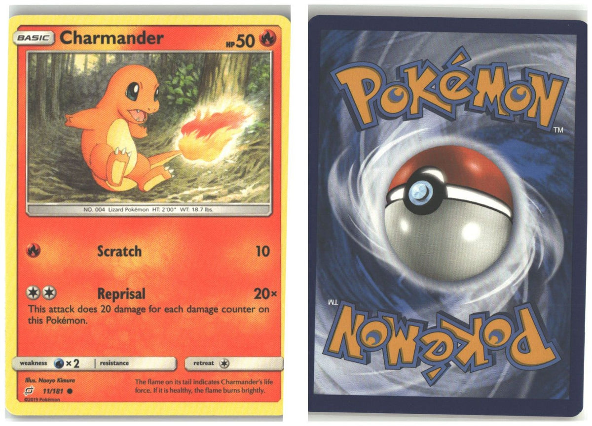 Front + Back scan