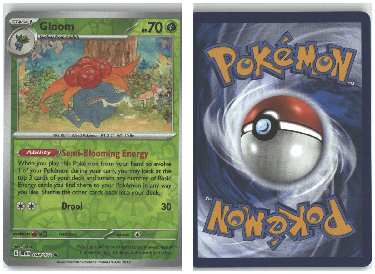Front + Back scan