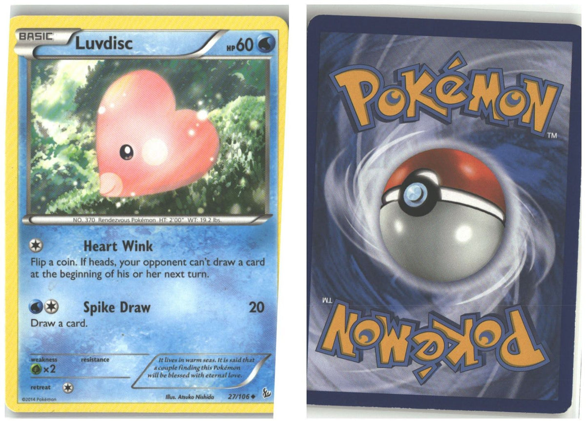 Front + Back scan