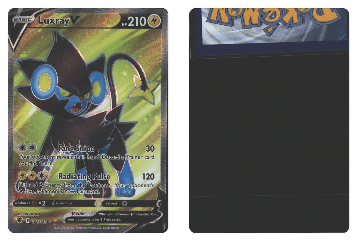 Front + Back scan