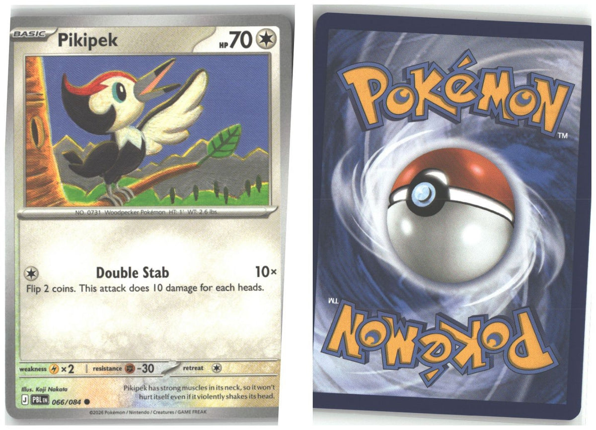 Front + Back scan