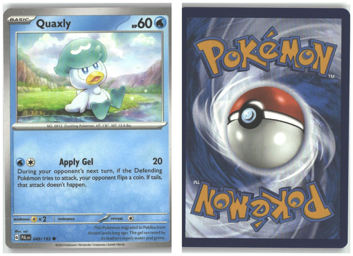 Front + Back scan