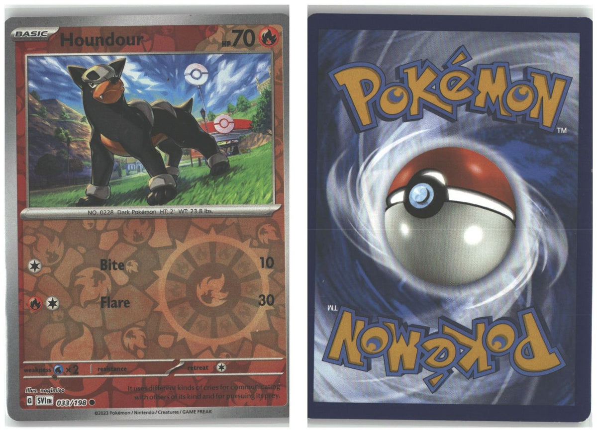 Front + Back scan
