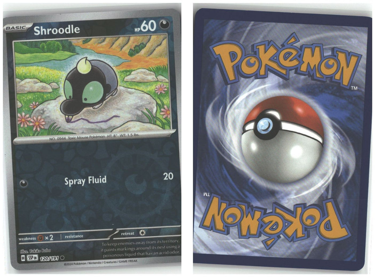 Front + Back scan