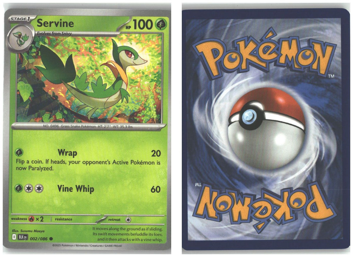 Front + Back scan