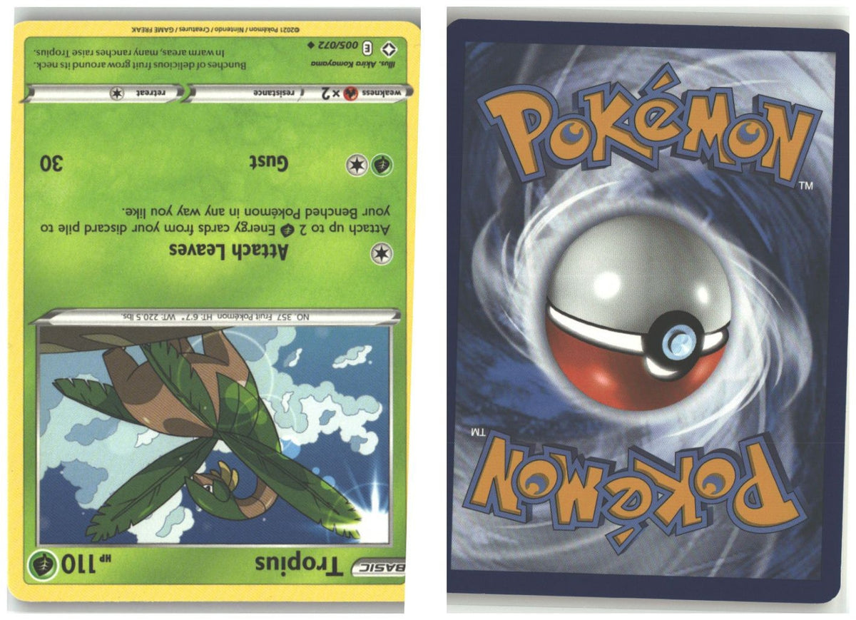 Front + Back scan